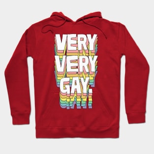 VERY VERY GAY / Humorous Typography Gift Hoodie